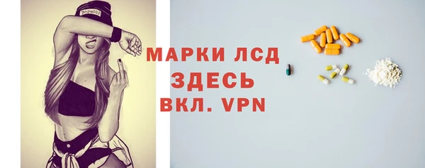 спиды Гусев