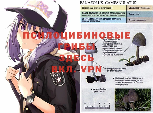 метадон Гусиноозёрск
