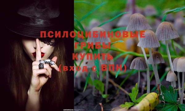метадон Гусиноозёрск