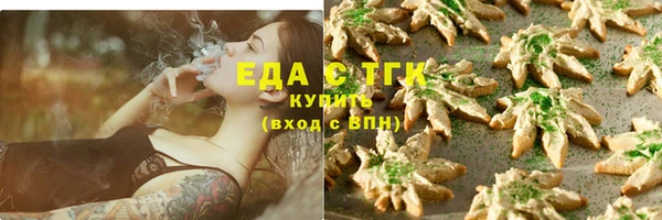 спиды Гусев