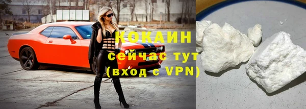 спиды Гусев