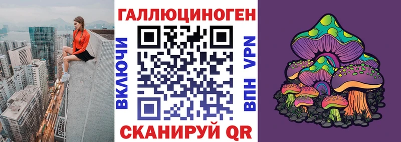 Купить где  Горно-Алтайск  Псилоцибиновые грибы ЛСД 